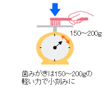 歯みがきは150～200ｇの 軽い力で小刻みに