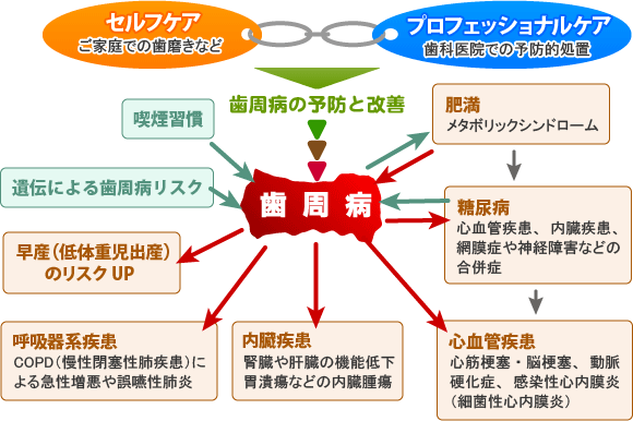 歯周病と全身疾患の関係