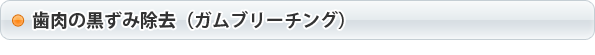 歯肉の黒ずみ除去（ガムブリーチング）